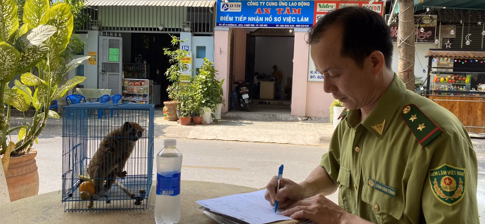 “Bỗng dưng” phát hiện cá thể culi bám trên cửa nhà -0