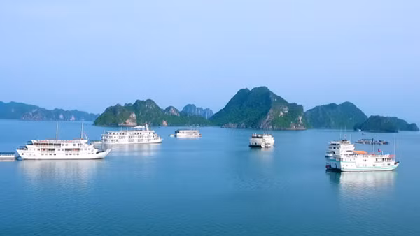 Sẽ đưa các du thuyền từ vịnh Hạ Long về khai thác trên vịnh Bái Tử Long
