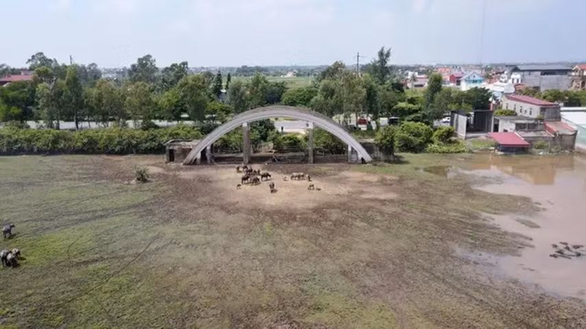 Xử lý hàng loạt dự án có dấu hiệu vi phạm luật đất đai tại Hải Phòng -0