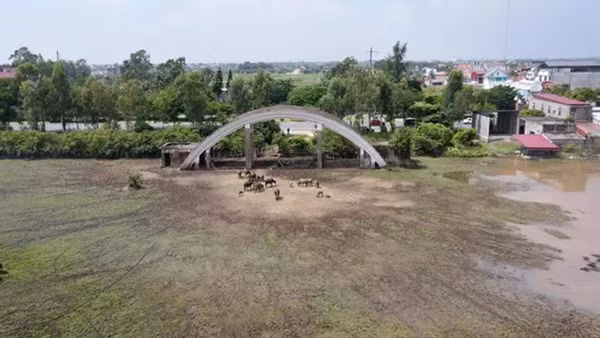 Xử lý hàng loạt dự án có dấu hiệu vi phạm luật đất đai tại Hải Phòng
