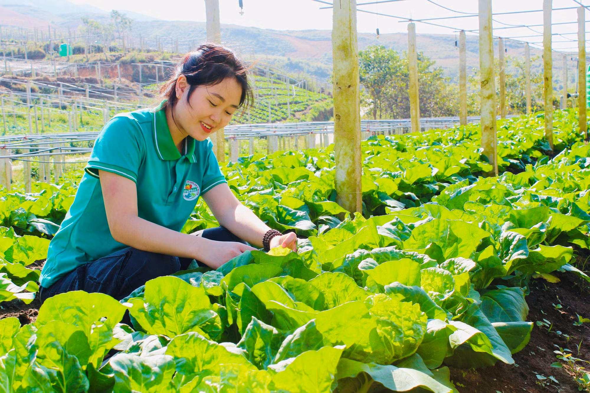 Nậm Pồ khởi sắc với những chính sách phát triển kinh tế vùng đồng bào dân tộc thiểu số và miền núi -0