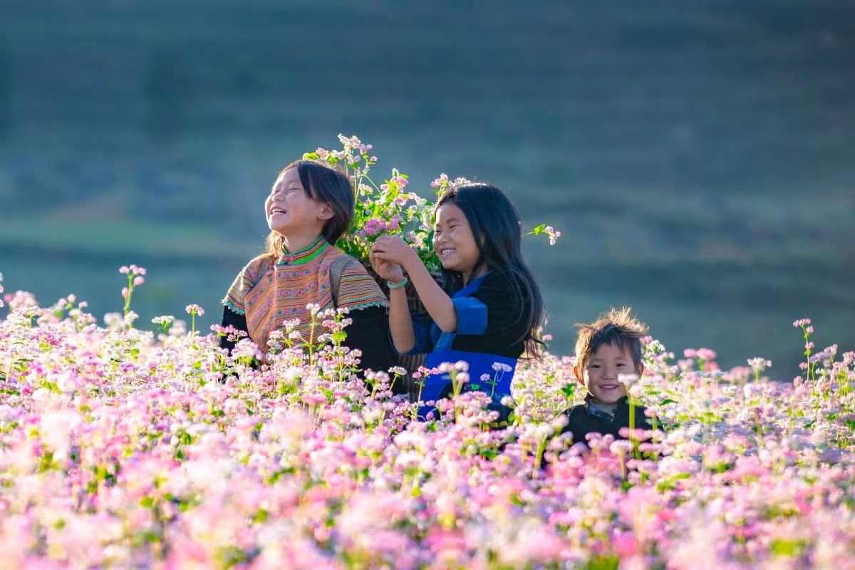 mùa hoa tam giác m%3fch %3f hà giang.jpg -0