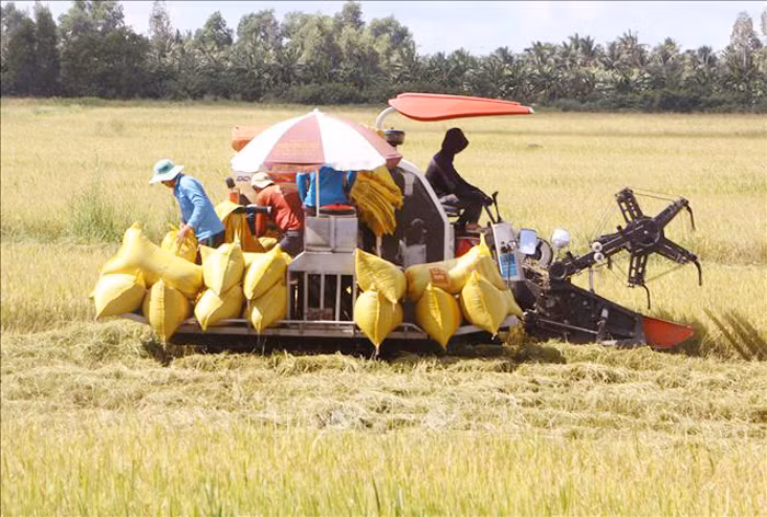 Xuất khẩu gạo đạt kỷ lục trên 5,3 tỷ USD -0
