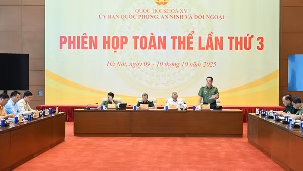Thẩm tra kết quả thực hiện nhiệm vụ bảo đảm trật tự, an toàn giao thông năm 2025