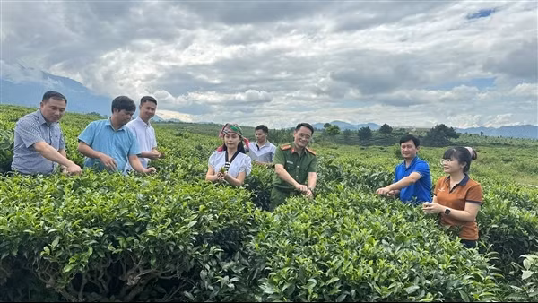 Chuyển đổi số lan tỏa mạnh mẽ ở xã miền núi Tân Uyên (bài 1)