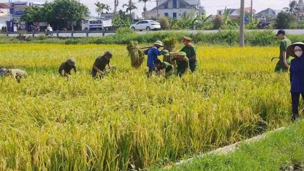 Tập trung lực lượng, phương tiện khắc phục hậu quả bão số 10, sẵn sàng ứng phó kịp thời với bão số 11