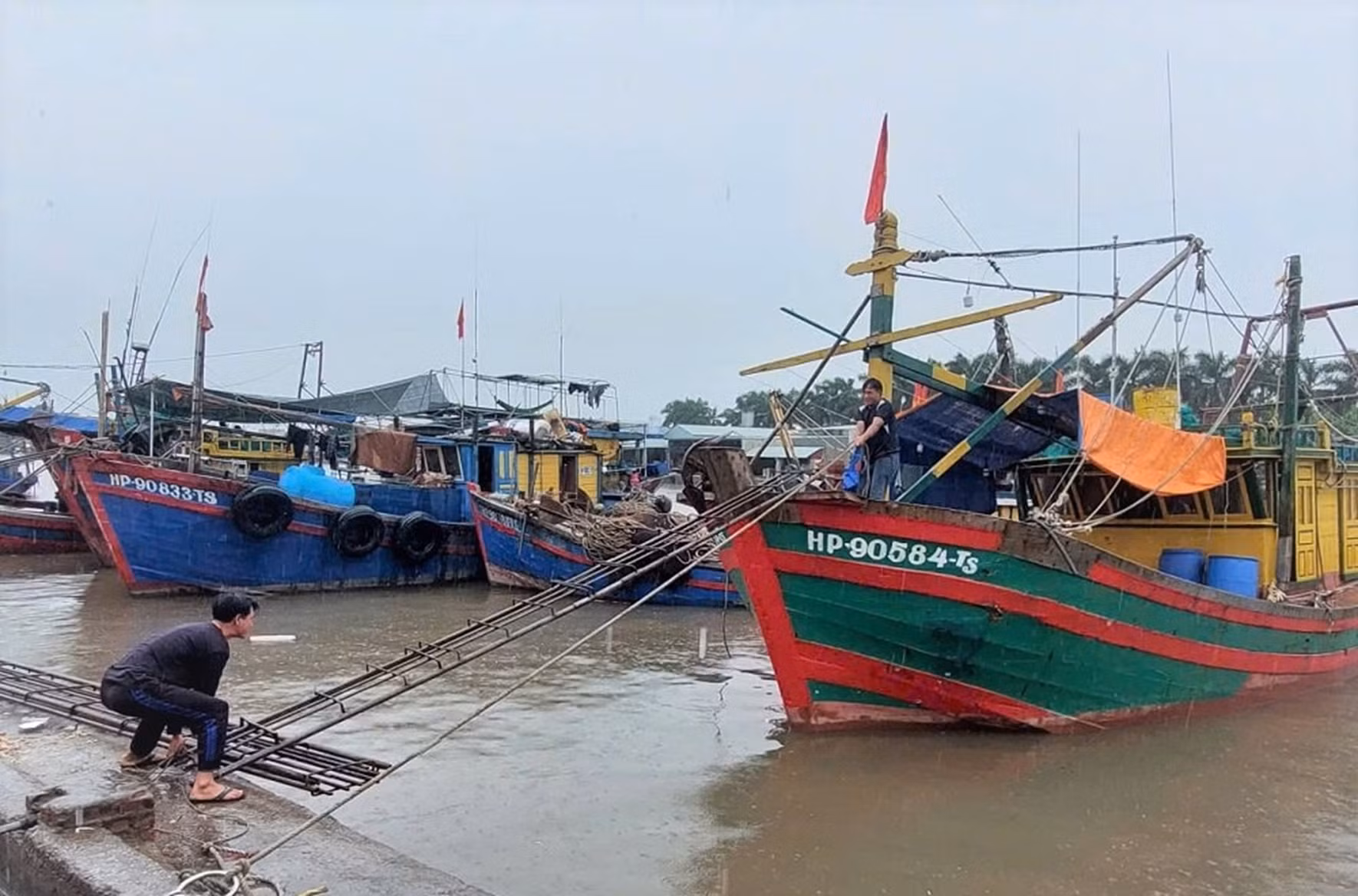 Quảng Ninh, Hải Phòng chủ động phòng chống bão số 11 -0
