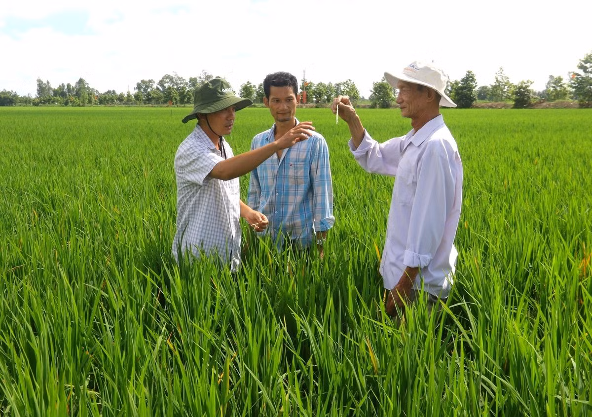 dien-dan-khuyen-nong-4-134531_132-180802.jpg -0