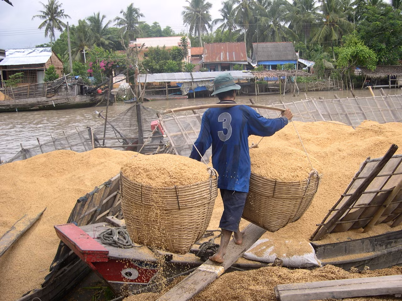 Từ phế phẩm nông nghiệp thành nguồn tài nguyên quý giá -0