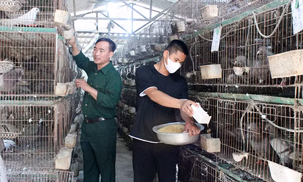 Tiếp sức cho hộ nghèo vượt khó -0