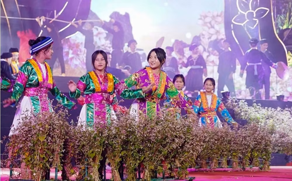 Đâu chỉ một màu hoa -0