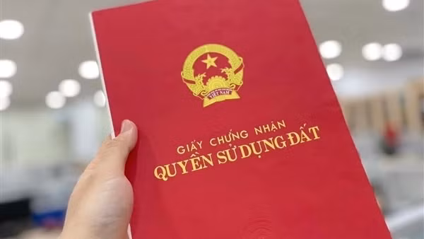 Biến đất công thành đất tư, cựu Chủ tịch, Phó Chủ tịch phường bị truy tố