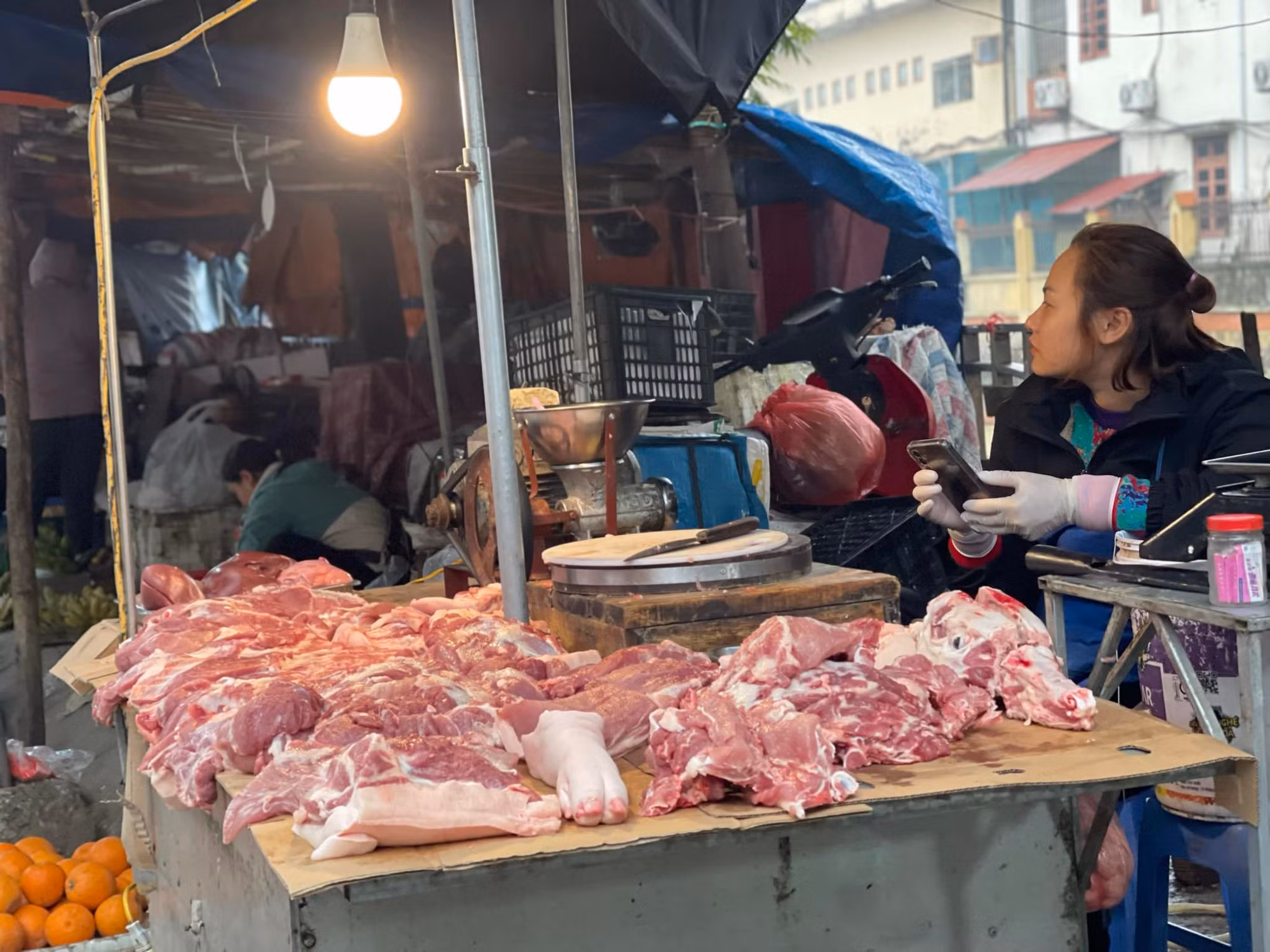 Giá điện, giá thịt lợn tăng đẩy CPI tăng -0