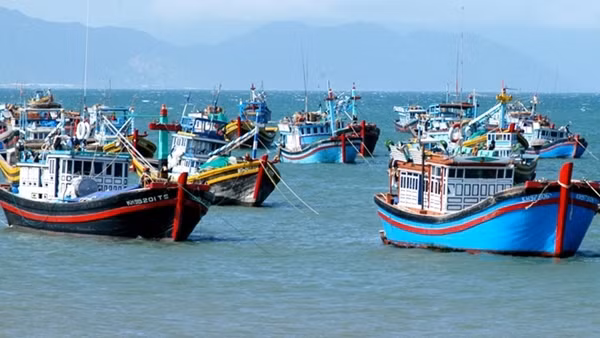 Nhiều nỗ lực trong gỡ “thẻ vàng” cho thủy sản Việt Nam