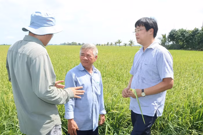 Đồng Tháp quyết tâm tinh gọn bộ máy, nâng cao hiệu lực và hiệu quả hoạt động -0