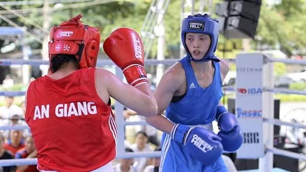 Boxing Việt Nam gặp cảnh "một cổ hai tròng"