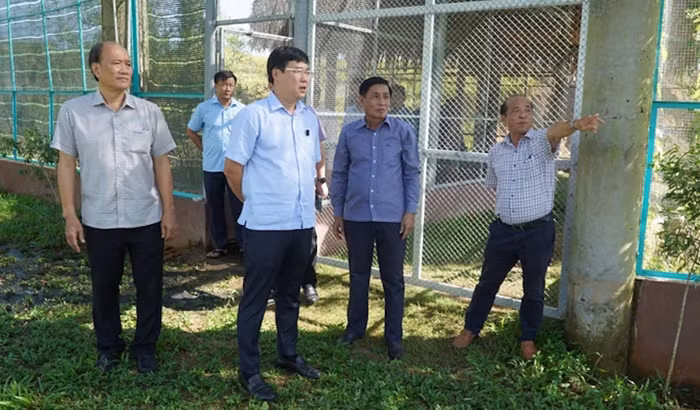 “Đôi mắt” giữ Sếu ở Vườn Quốc gia Tràm Chim -0