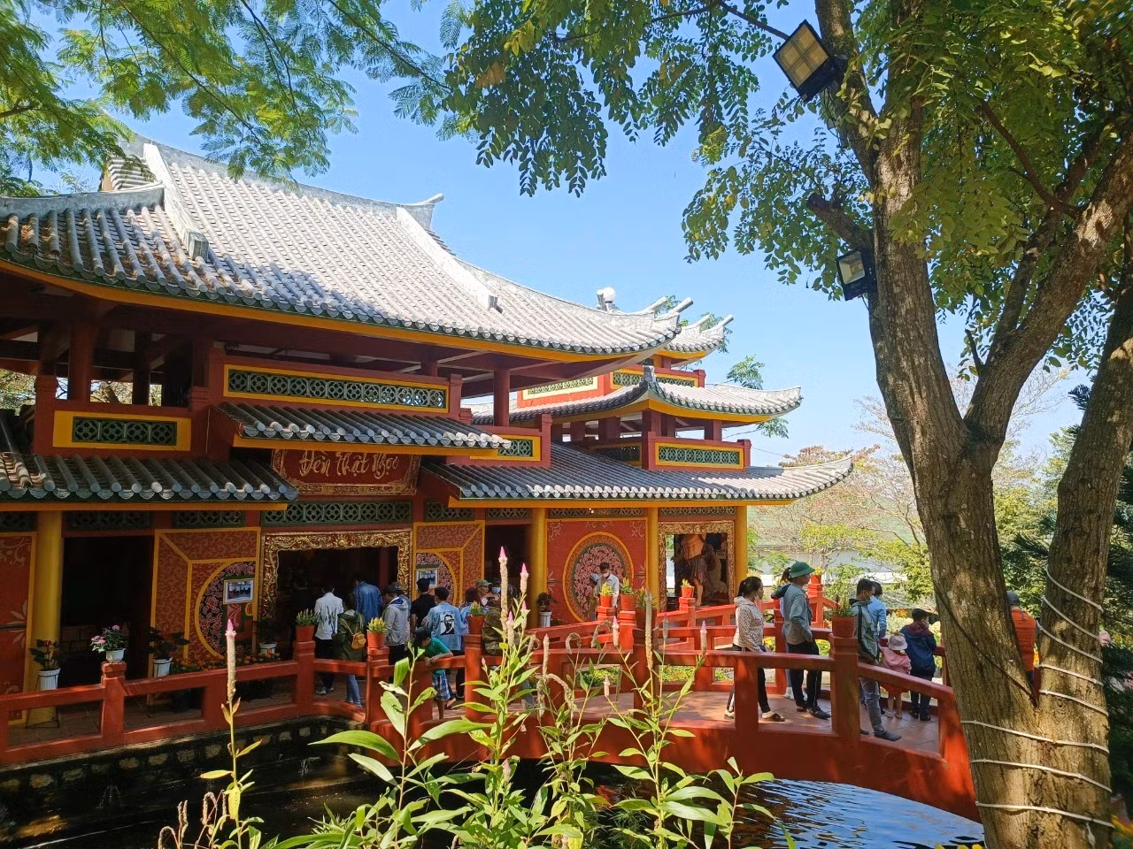 hinh 4.jpg -3