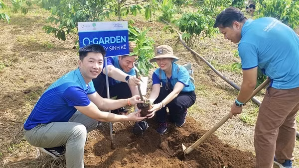 Bảo hiểm số OPES mang lại kết quả 'xanh-bền' từ cây sinh kế gieo tặng bà con Lộc Tân