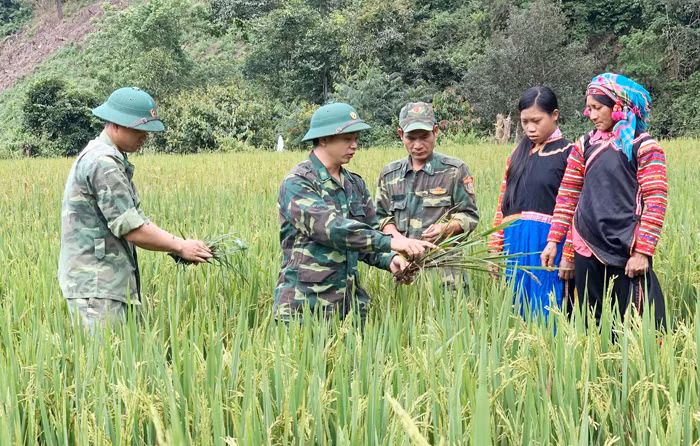 Xóa đói giảm nghèo, tạo tiền đề an ninh kinh tế -0