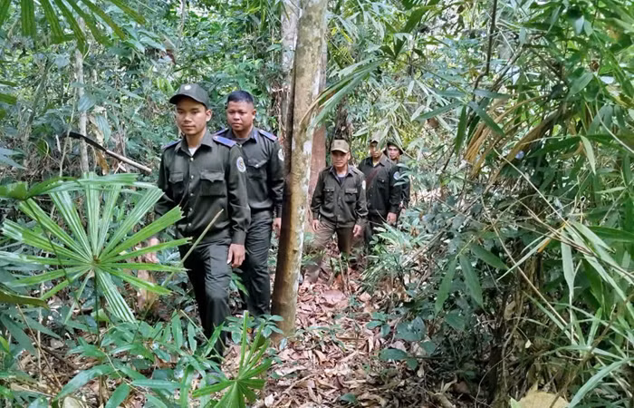 Tăng cường tuần tra, bảo vệ rừng dịp cuối năm -0