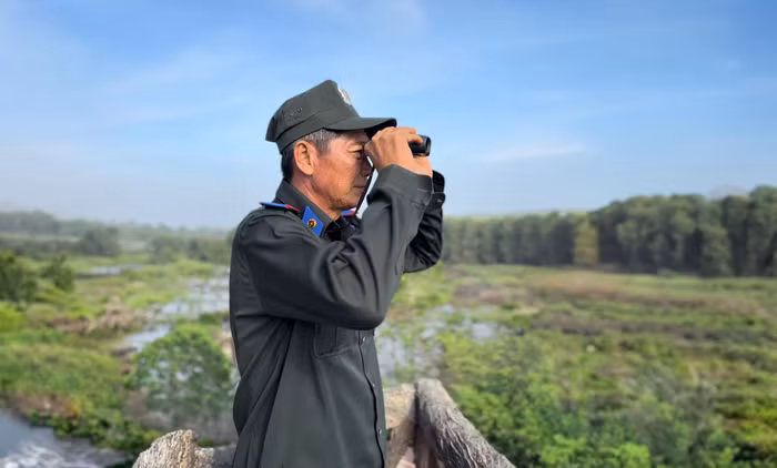 “Đôi mắt” giữ Sếu ở Vườn Quốc gia Tràm Chim -0