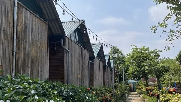 Các quận, huyện của Hà Nội không xử lý nghiêm, dứt điểm vi phạm đất đai ở bãi sông, ngoài đê