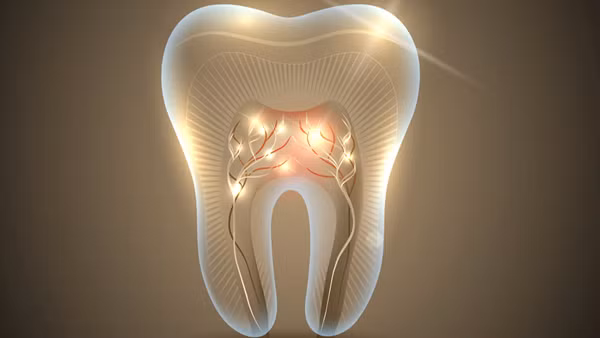 Nhật Bản thử nghiệm thuốc mọc lại răng thay vì trồng răng giả