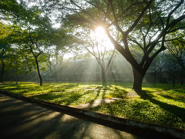 Hà Nội đầu tuần khi mưa lúc nắng -0