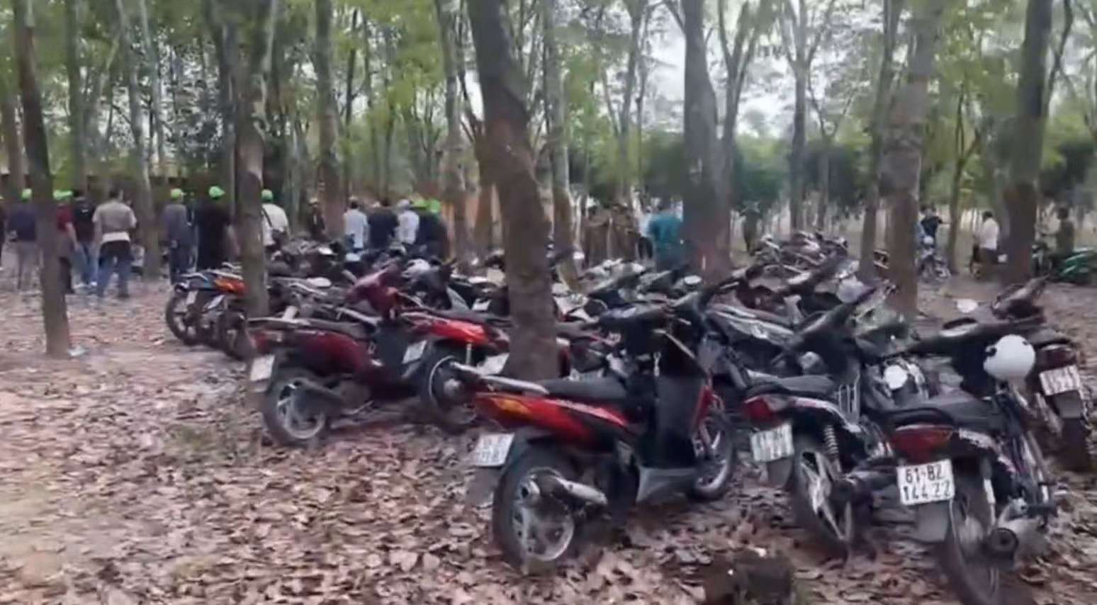 Liên tiếp triệt phá các tụ điểm cờ bạc quy mô lớn trong cao điểm Tết Bính Ngọ -1