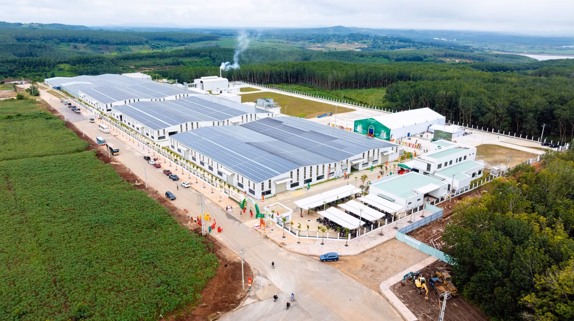 Sao Mai Agro: Chuẩn hóa từ vùng trồng đến nhà máy, nâng tầm nông sản Việt -0