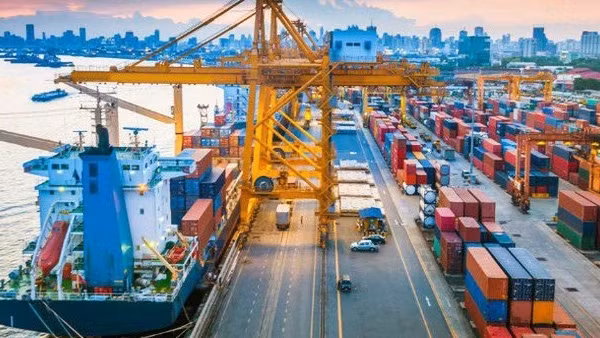 Gần 500 container chè Việt bị ách tắc tại cảng nước ngoài, Bộ Công Thương vào cuộc hỗ trợ