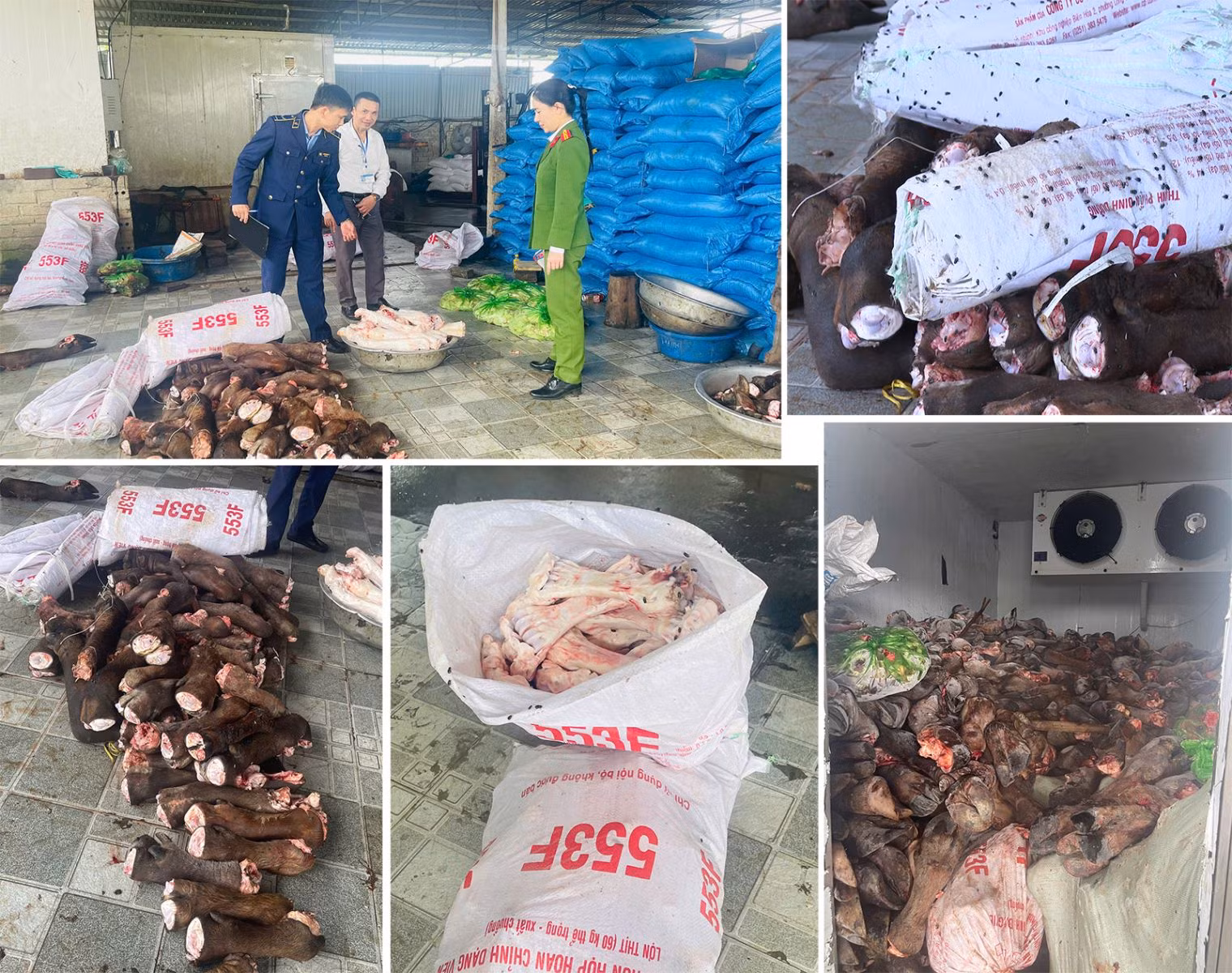 Công an Thanh Hoá đấu tranh quyết liệt với thực phẩm bẩn, độc hại -0