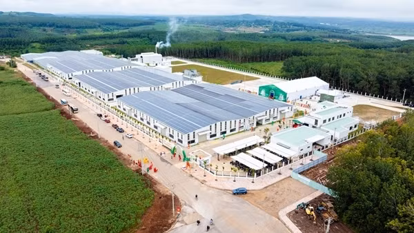 Sao Mai Agro: Chuẩn hóa từ vùng trồng đến nhà máy, nâng tầm nông sản Việt