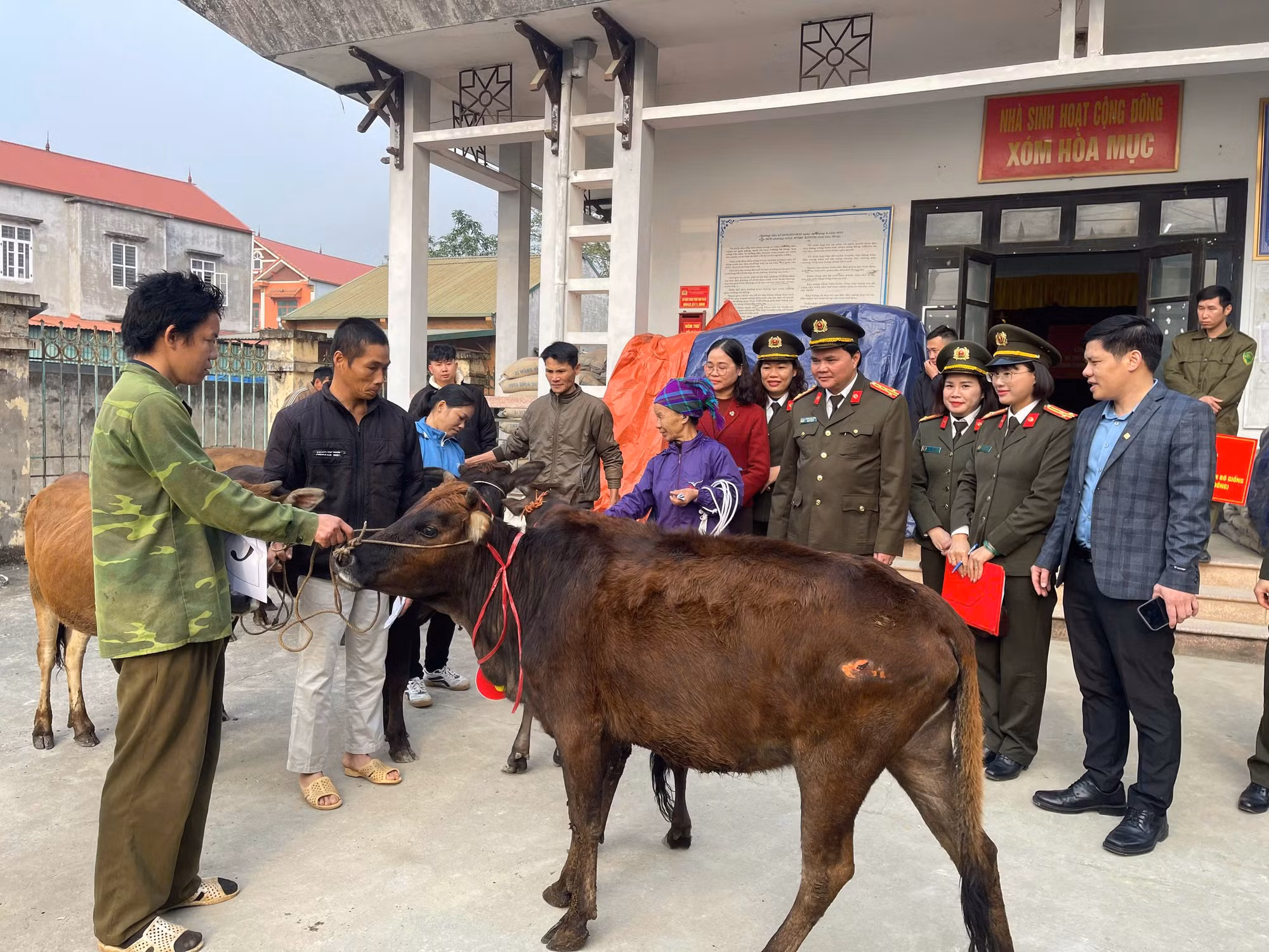 Công an tỉnh Cao Bằng trao tặng 15 con bò giống hỗ trợ sinh kế cho hộ gia đình khó khăn tại xã Trường Hà -0