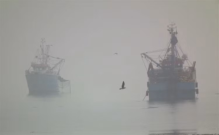 Đề phòng sương mù trên biển -0