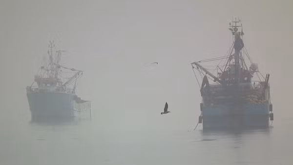 Đề phòng sương mù trên biển