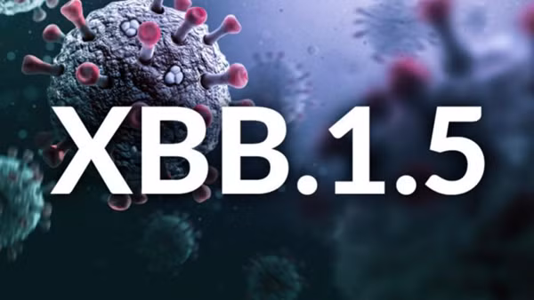 Xuất hiện biến thể phụ XBB.1.5, TP Hồ Chí Minh sẵn sàng kích hoạt bệnh viện dã chiến