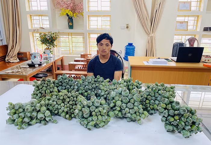5-thuoc-02.jpg -0