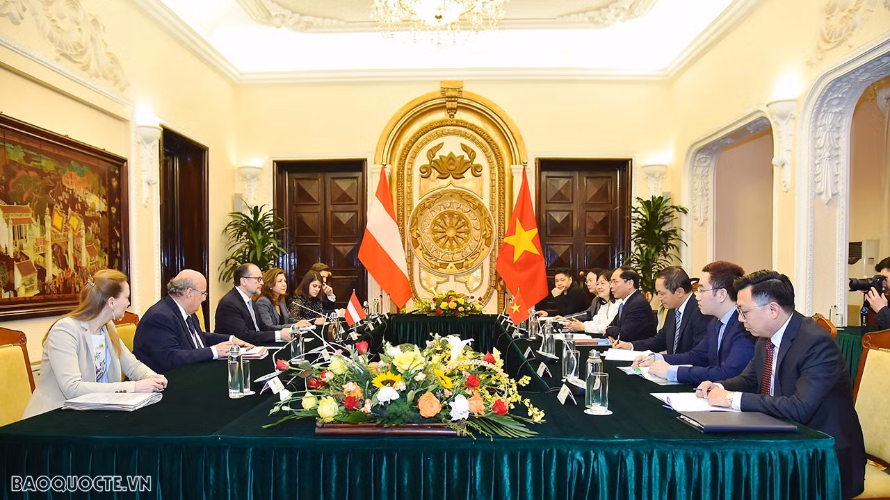Bộ trưởng Ngoại giao Bùi Thanh Sơn đón, hội đàm với Bộ trưởng Ngoại giao Áo Alexander Schallenberg -1