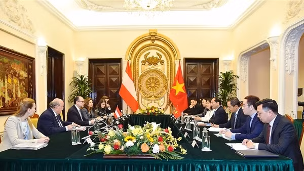 Bộ trưởng Ngoại giao Bùi Thanh Sơn đón, hội đàm với Bộ trưởng Ngoại giao Áo Alexander Schallenberg