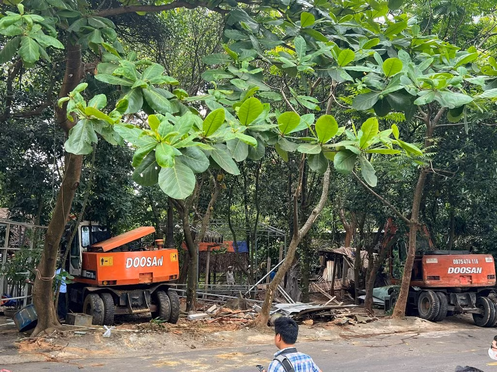 Đà Nẵng tháo dỡ 58 nhà hàng, quán nhậu xây dựng trái phép trên Sơn Trà -0