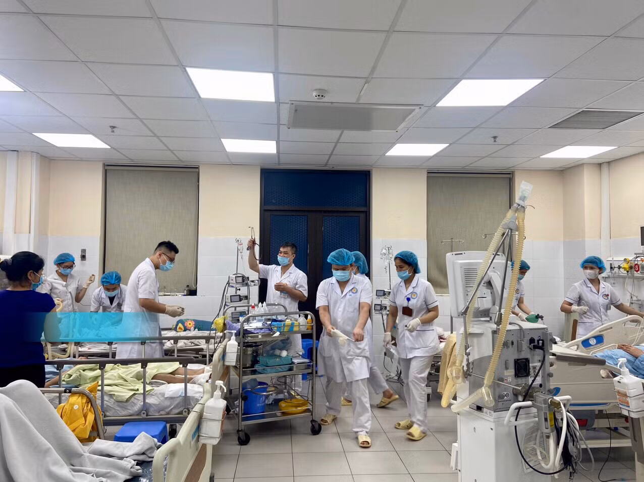Cứu sống một phụ nữ nguy kịch do ăn lá ngón -0