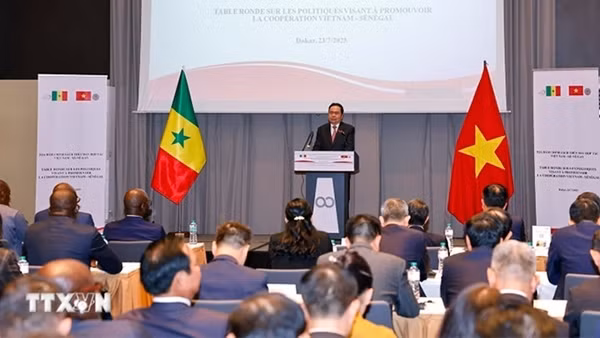 Việt Nam-Senegal thúc đẩy hợp tác thương mại và chế biến nông sản