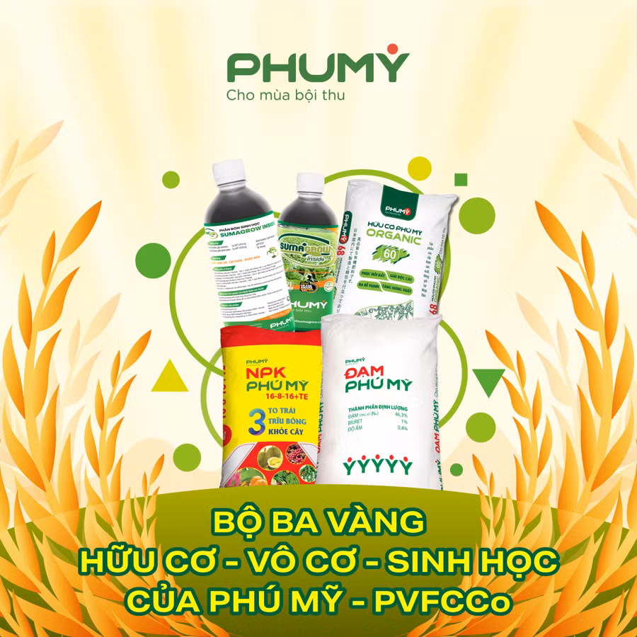 Ra mắt Hữu cơ Phú Mỹ Organic, hoàn thiện “Bộ ba vàng” dinh dưỡng cho nông nghiệp bền vững -0