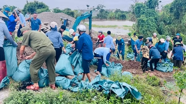Thông tin vỡ đê bối tại Hưng Yên là không chính xác