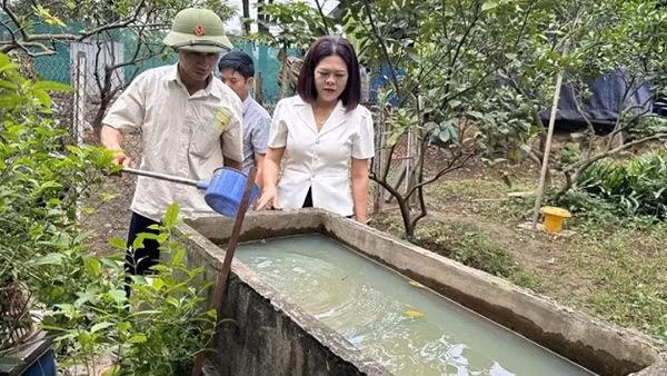 Sốt xuất huyết gia tăng, Bộ Y tế yêu cầu tăng cường phòng chống