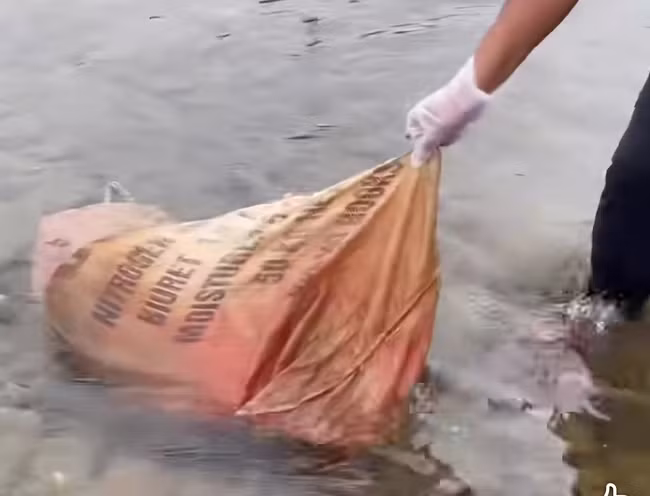 Công an vào cuộc vụ vứt heo bệnh xuống sông suối gây ô nhiễm mô trường -0