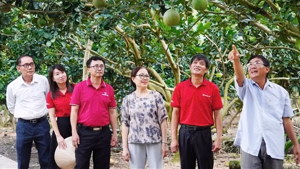 Dòng vốn Agribank tiếp sức cho kinh tế nông hộ phát triển bền vững