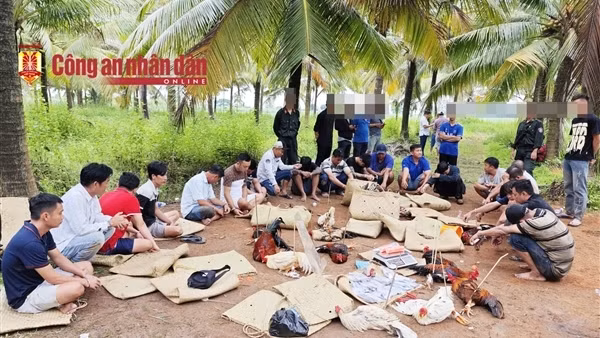 Triệt phá trường gà sát phạt hai trận trên 1,6 tỷ đồng